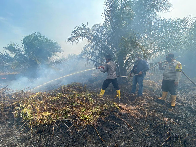 Lahan yang terbakar di Rokan Hilir (Humas Polres Rohil)